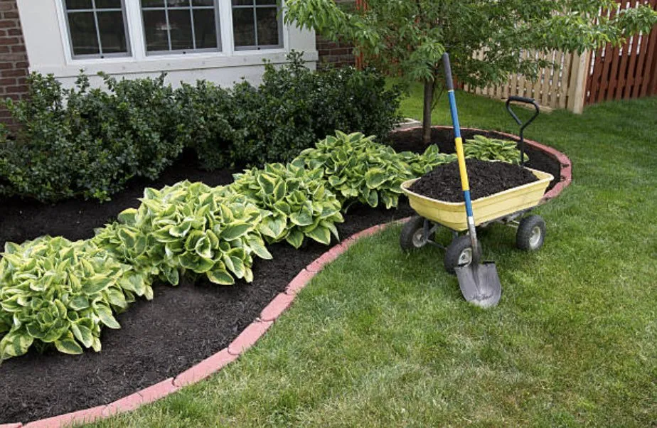 Professional lawn care service for beautiful yards in Wayne, NJ by All in 1 Landscaping & Construction