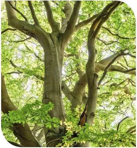 Professional outdoor landscaping in Post Falls, ID by All In 1 Landscaping and Tree Specialists