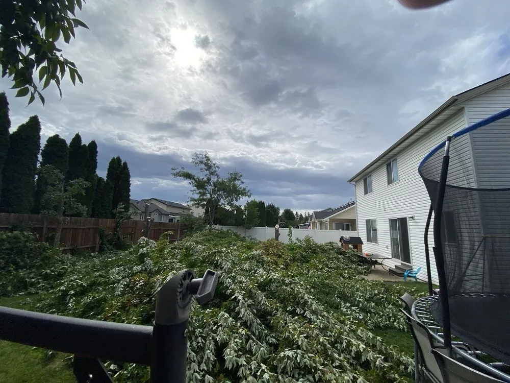 Professional yard maintenance in Post Falls, ID - All In 1 Landscaping and Tree Specialists