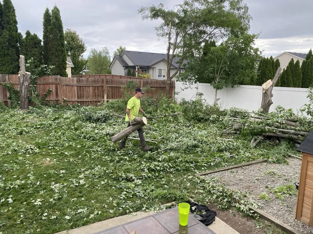 Affordable landscape installation in Post Falls, ID - All In 1 Landscaping and Tree Specialists