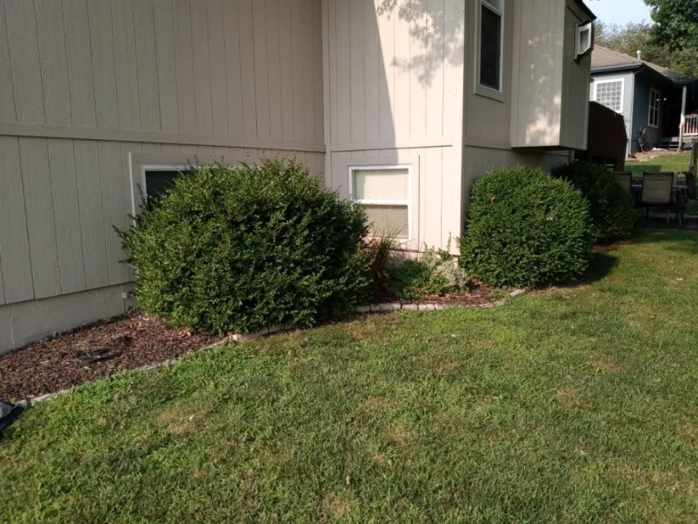 Affordable yard maintenance for homes across Kansas City, MO - All-In-1 Lawn Landscape And Irrigation