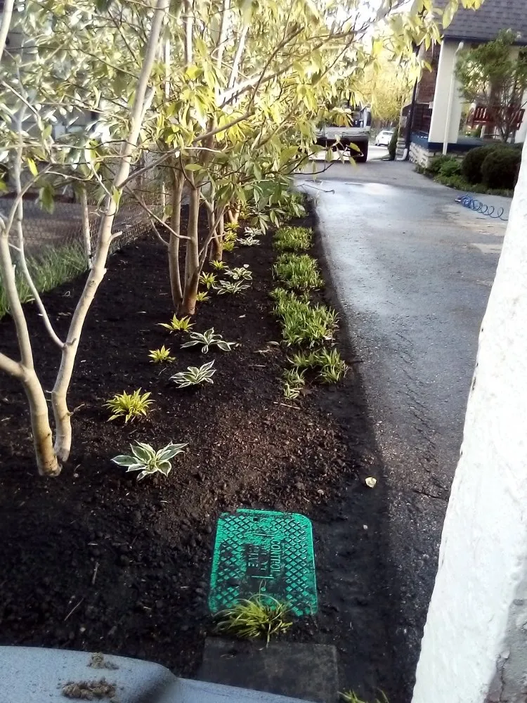 Expert lawn care service for outdoor upgrades across Kansas City, MO - All-In-1 Lawn Landscape And Irrigation