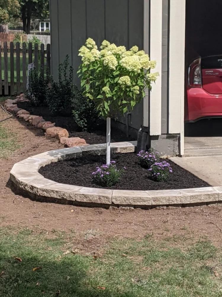 Reliable yard cleanup service in Kansas City, MO by All-In-1 Lawn Landscape And Irrigation