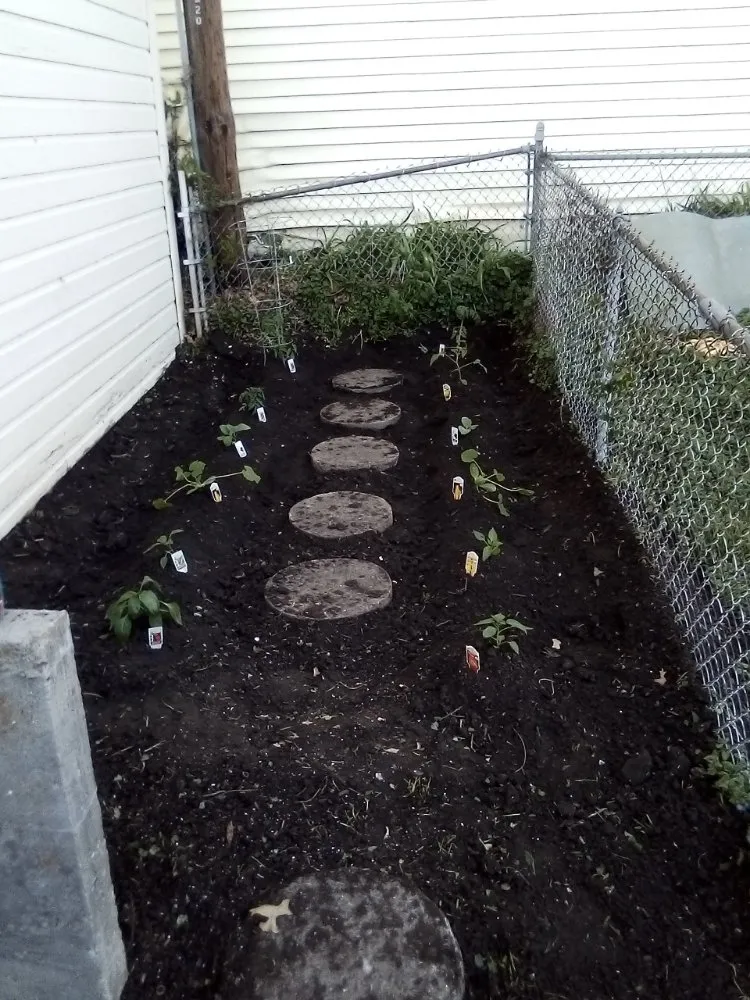 Expert yard maintenance for residential properties across Kansas City, MO - All-In-1 Lawn Landscape And Irrigation