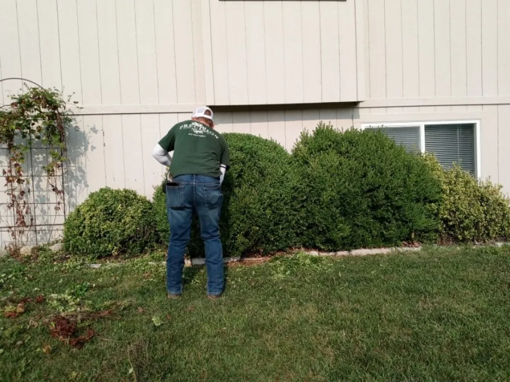 Top-rated landscape design in Kansas City, MO - All-In-1 Lawn Landscape And Irrigation