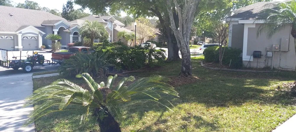 Professional yard maintenance in Orlando, FL by All In 1 Pool Maintenance & Lawn Services