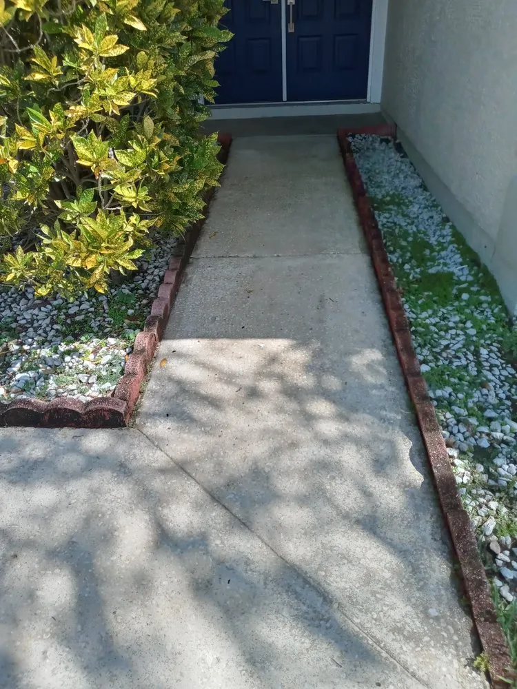 Expert yard cleanup service for residential properties in Orlando, FL by All In 1 Pool Maintenance & Lawn Services