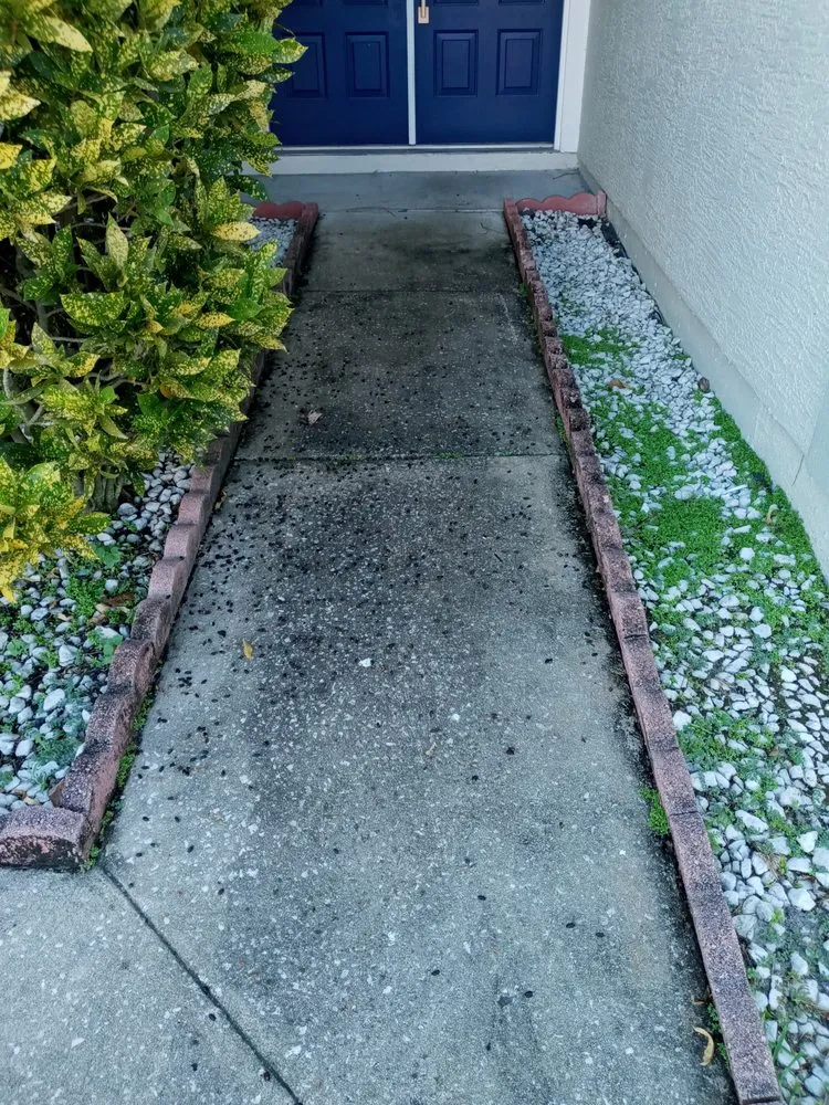 Local landscape design near you across Orlando, FL - All In 1 Pool Maintenance & Lawn Services