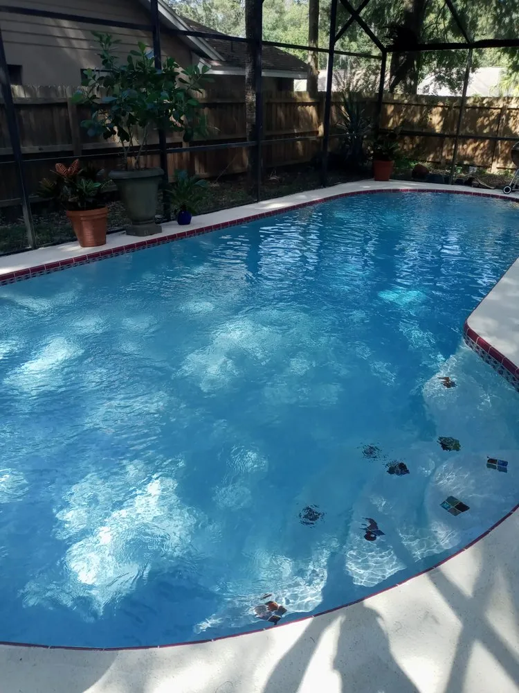 Trusted outdoor landscaping for residential properties in Orlando, FL by All In 1 Pool Maintenance & Lawn Services