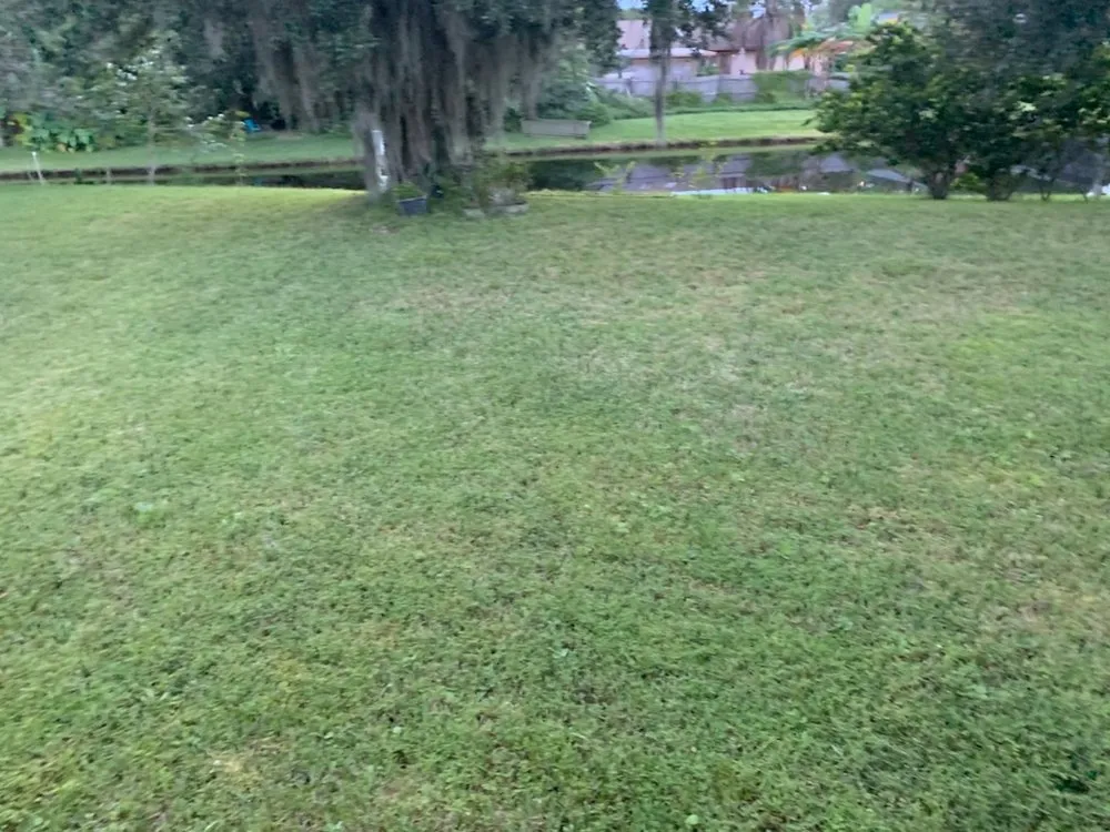 Local yard maintenance for outdoor upgrades across Orlando, FL - All In 1 Pool Maintenance & Lawn Services