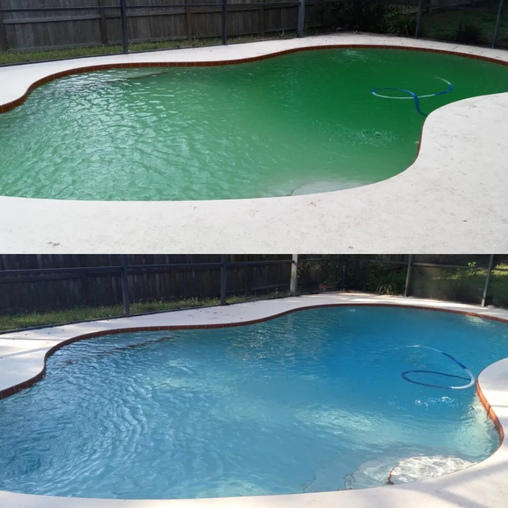 Trusted garden landscaping in Orlando, FL by All In 1 Pool Maintenance & Lawn Services
