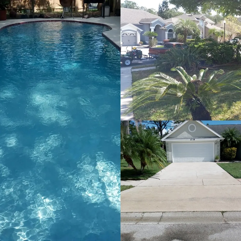 Top-rated yard cleanup service for year-round maintenance in Orlando, FL by All In 1 Pool Maintenance & Lawn Services