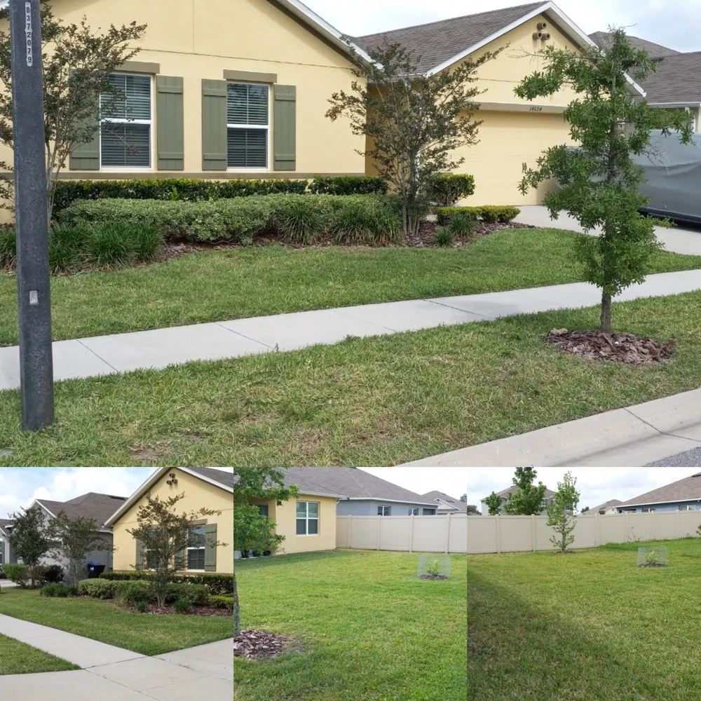Expert outdoor landscaping for year-round maintenance across Orlando, FL - All In 1 Pool Maintenance & Lawn Services