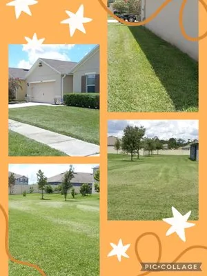 All In 1 Pool Maintenance & Lawn Services Logo