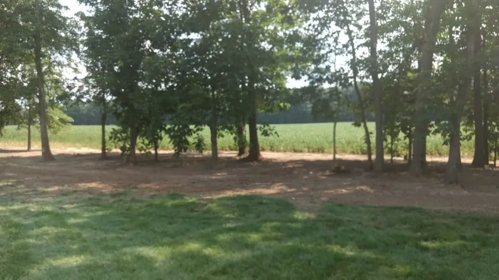 Custom landscaping services in Waldo, OH by All in 1 Property Maintenance