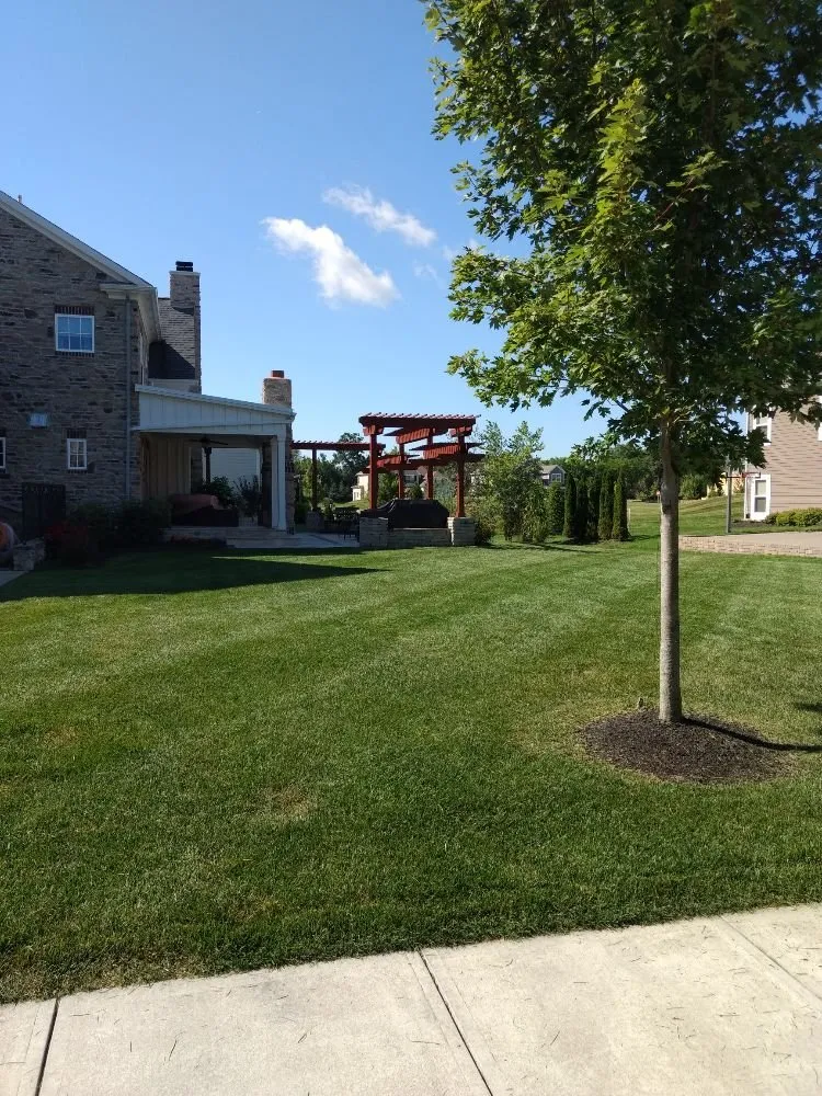 Expert lawn mowing service in Waldo, OH by All in 1 Property Maintenance