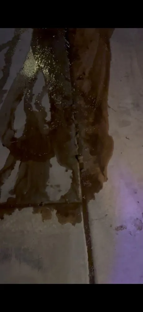 Affordable lawn care service in Riverside, CA by All in 1 Remodeling