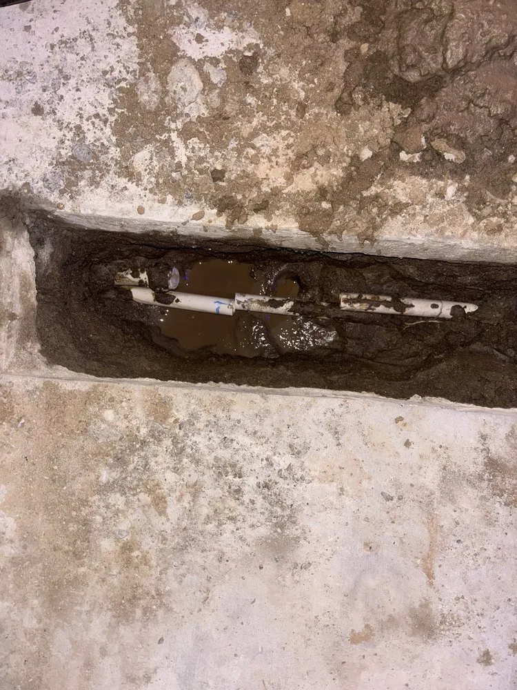 Expert yard cleanup service for homes in Riverside, CA by All in 1 Remodeling