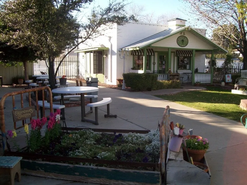 Professional yard cleanup service with custom design in San Fernando Valley, CA by All in 1 Remodeling