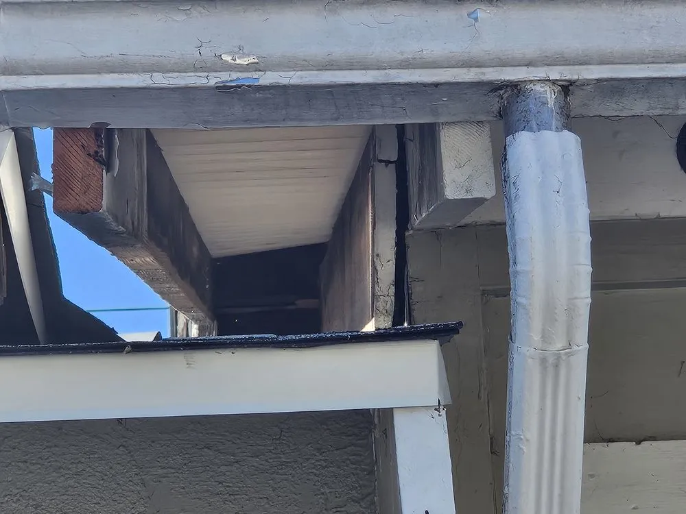 Expert landscape installation for year-round maintenance in Woodland Hills, CA by All in 1 Remodeling