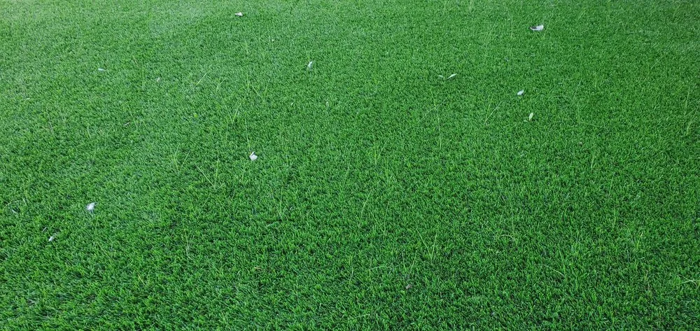 Affordable garden landscaping for year-round maintenance in Woodland Hills, CA by All in 1 Remodeling