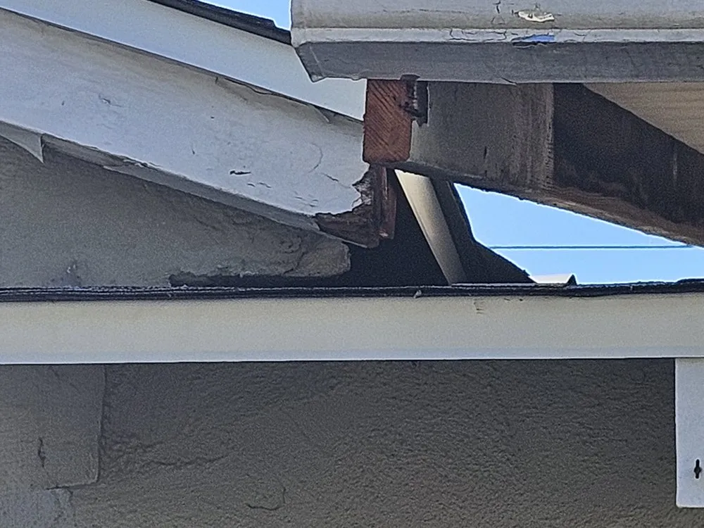 Custom landscape design in Woodland Hills, CA by All in 1 Remodeling