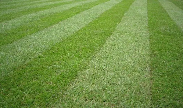 All In 1 Services Logo