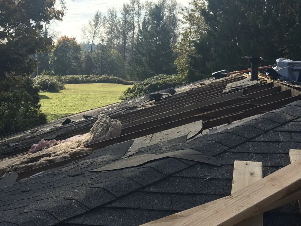 Trusted lawn care service in Tacoma, WA - All In 1 Trades & Services