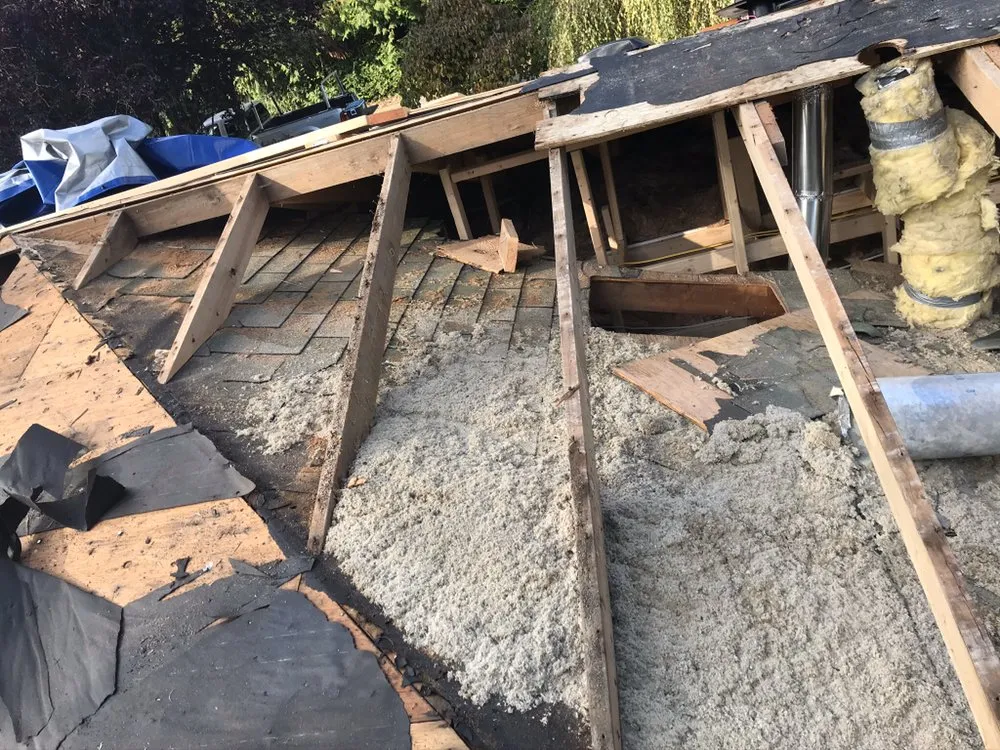 Professional landscaping services in Tacoma, WA - All In 1 Trades & Services