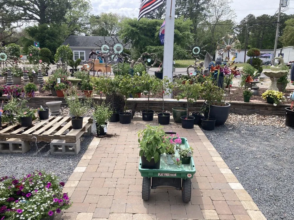 Local landscape design in Southport, NC - All In Bloom Garden Center & Landscapes