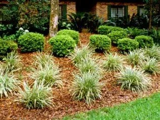 Expert outdoor landscaping with custom design across Davenport, FL - All In Facility Maintenance Service