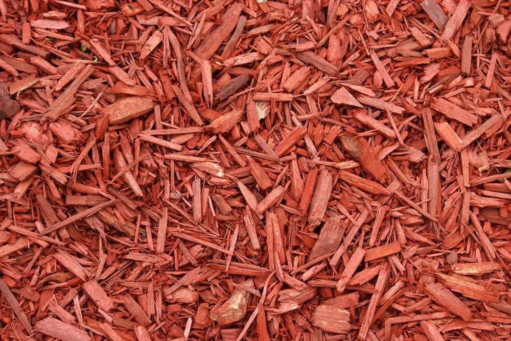 Local yard cleanup service in Davenport, FL - All In Facility Maintenance Service