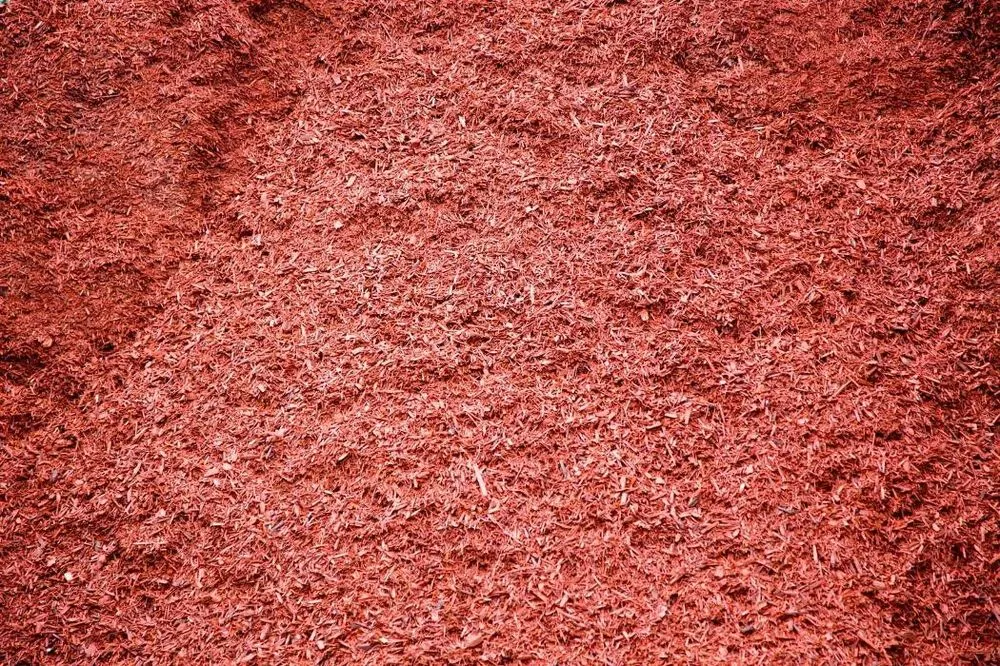 Top-rated yard maintenance for outdoor upgrades in Davenport, FL by All In Facility Maintenance Service