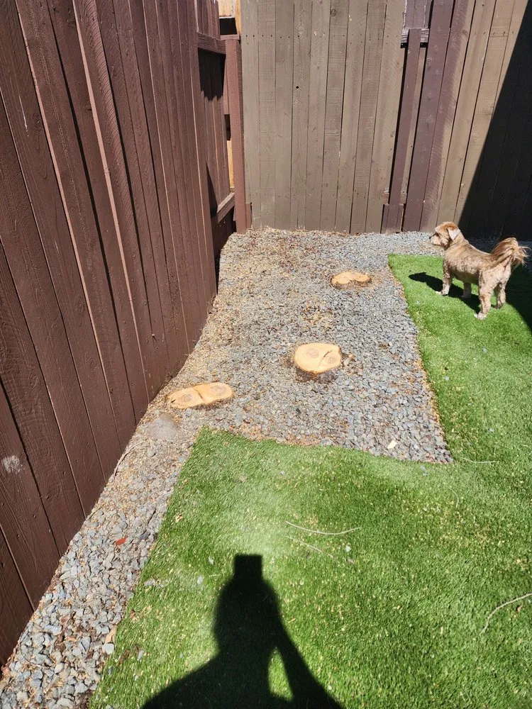 Top-rated landscaping services for year-round maintenance across Reno, NV - All In Hardscape & Landscape