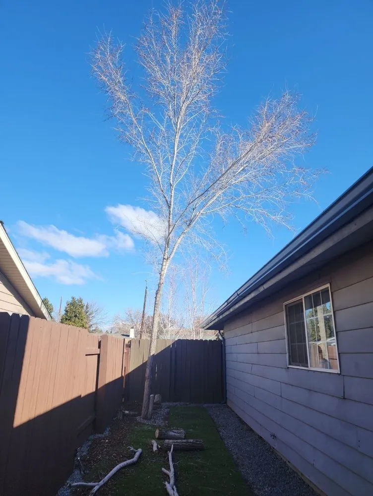 Trusted lawn care service experts serving Reno, NV - All In Hardscape & Landscape