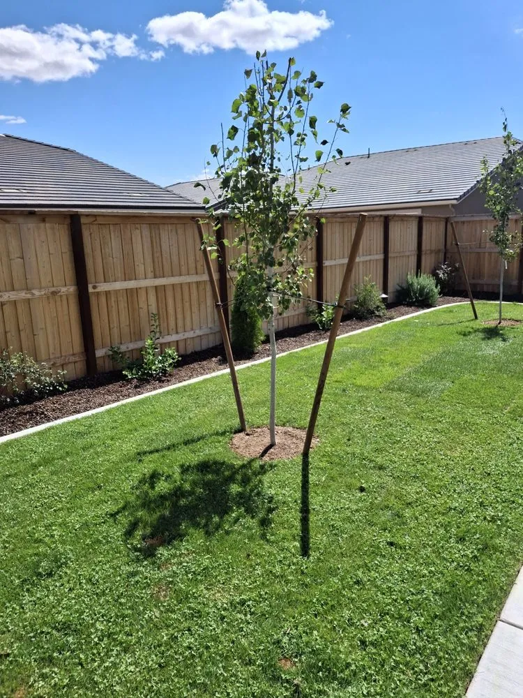 Professional residential landscaping in Reno, NV by All In Hardscape & Landscape