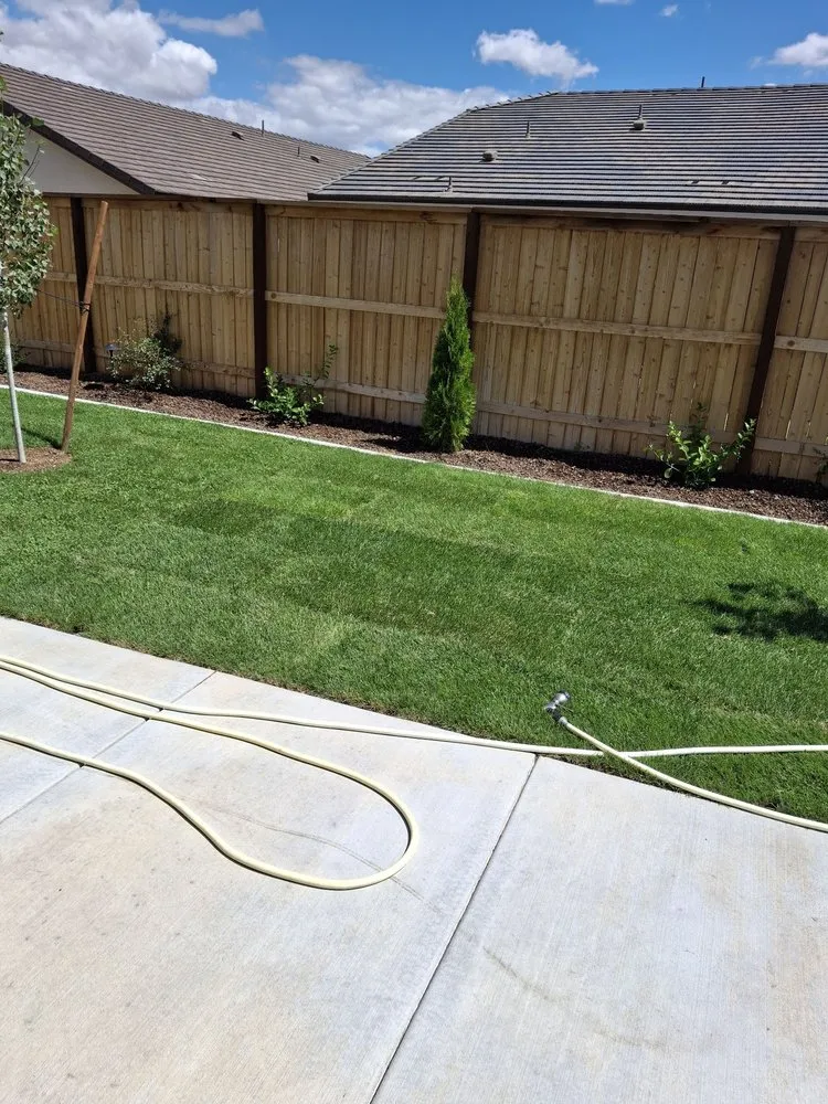 Custom yard cleanup service in Reno, NV - All In Hardscape & Landscape