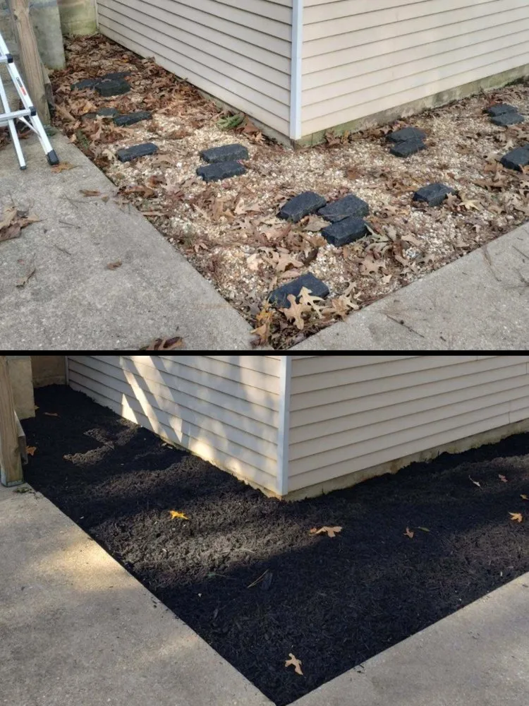 Trusted lawn care service experts serving Chesapeake Beach, MD - All In Home Services