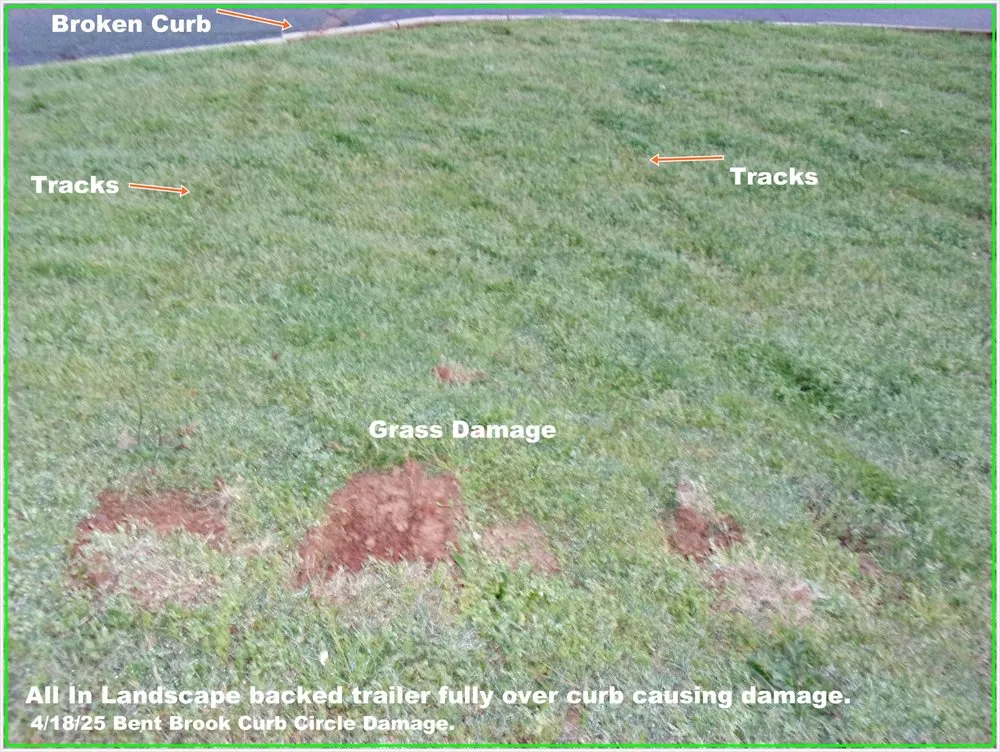 Affordable yard cleanup service in Mauldin, SC by All In Landscape Management