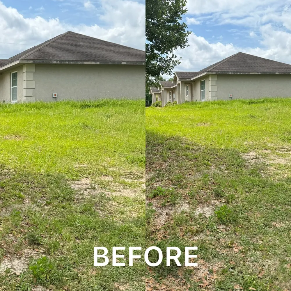 Affordable outdoor landscaping experts serving Ocala, FL - All in landscaping and property management