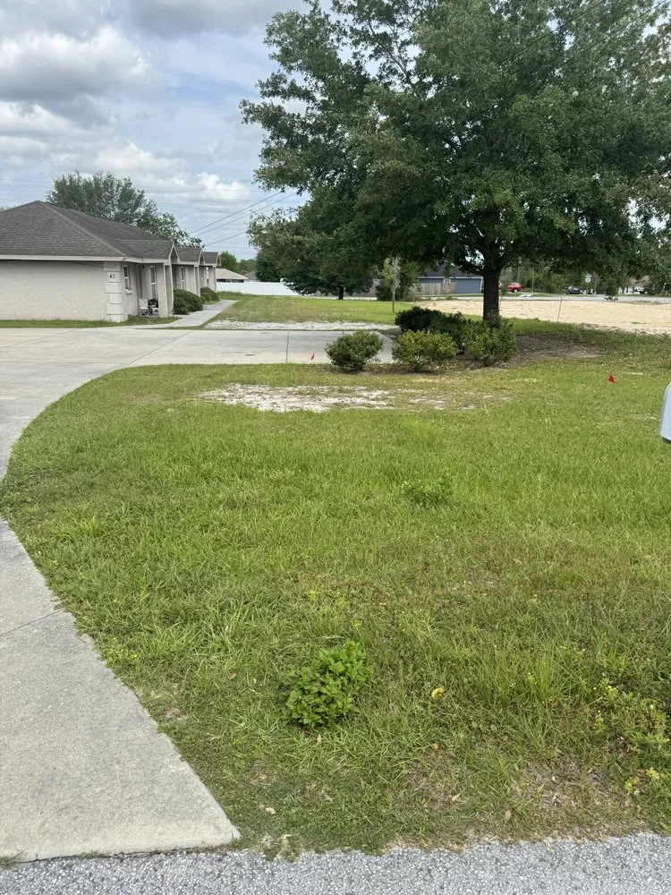 Affordable lawn care service in Ocala, FL by All in landscaping and property management