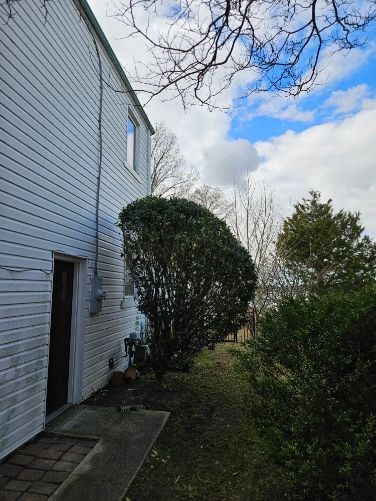 Expert yard cleanup service experts serving Chesapeake, VA - All in Landscaping