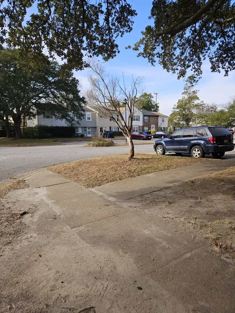 Professional landscape installation experts serving Chesapeake, VA - All in Landscaping