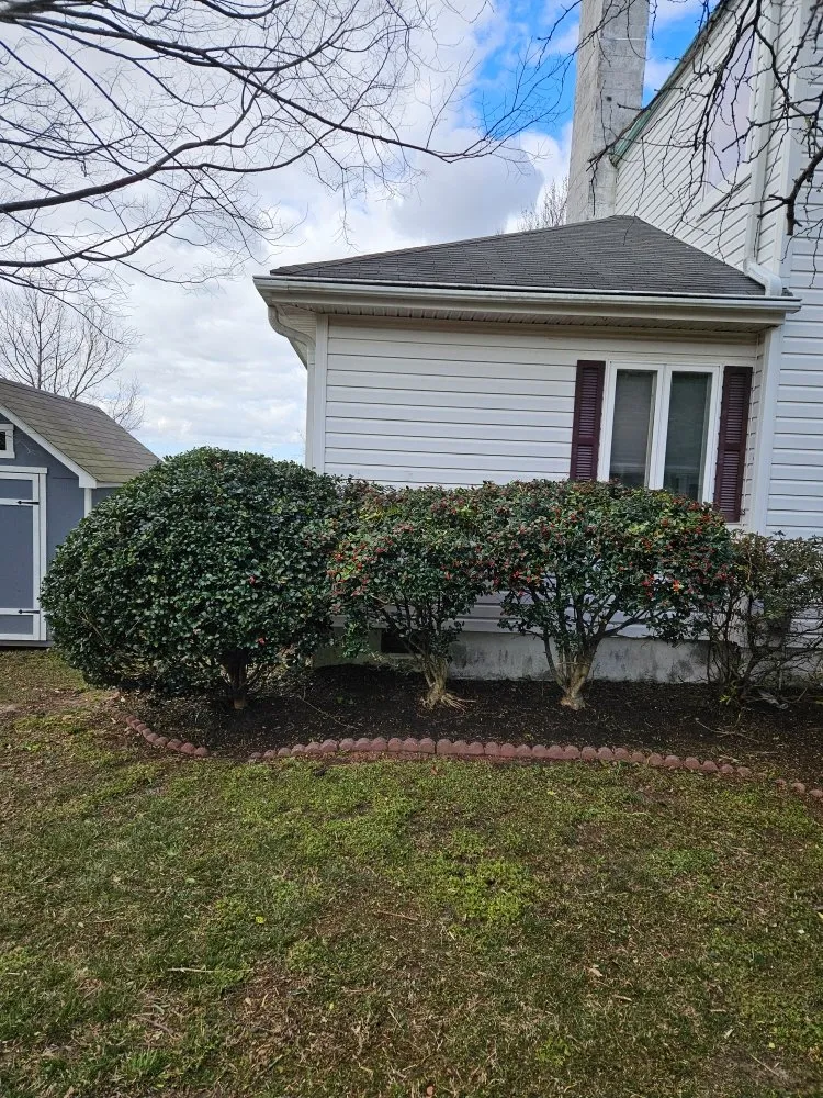 Expert landscape design for residential properties in Chesapeake, VA by All in Landscaping