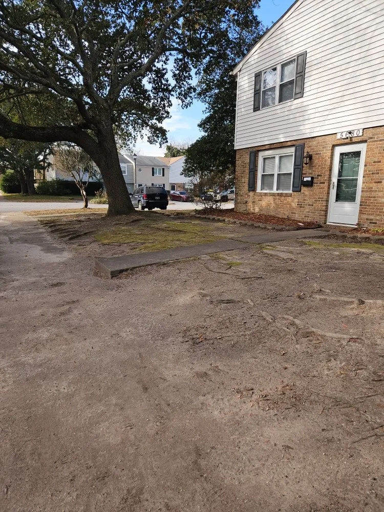 Affordable landscaping services experts serving Chesapeake, VA - All in Landscaping