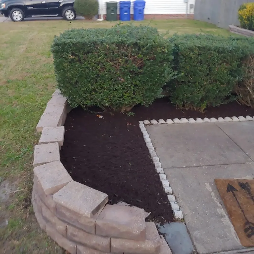Affordable yard maintenance in Chesapeake, VA - All in Landscaping