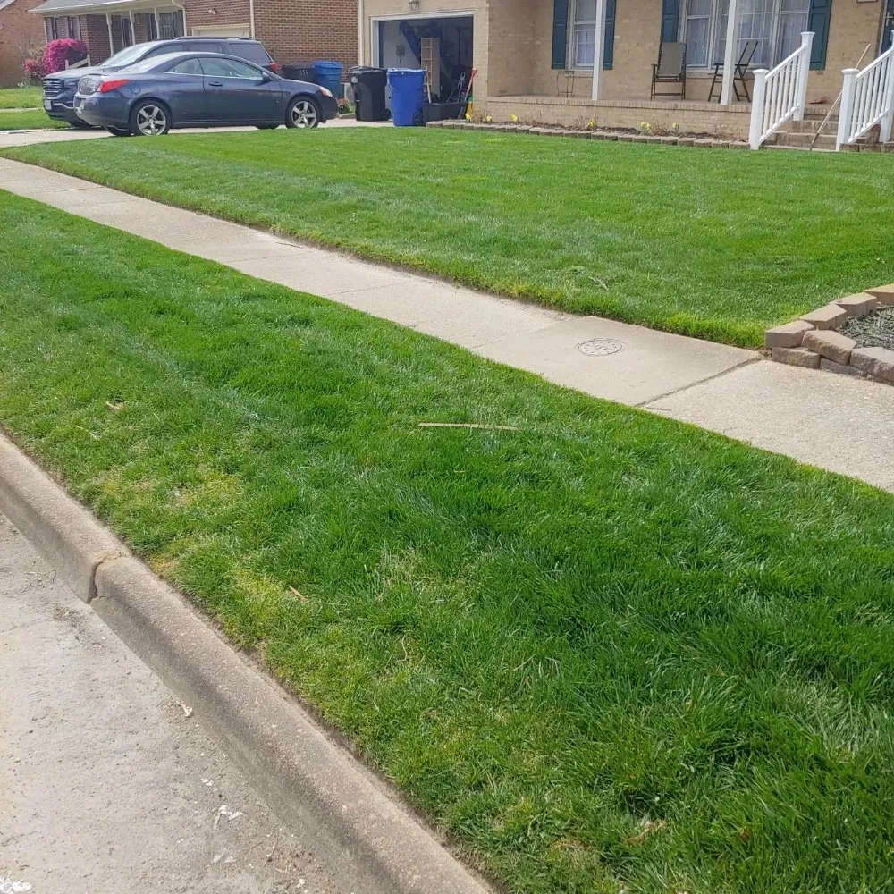 Top-rated yard maintenance experts serving Chesapeake, VA - All in Landscaping