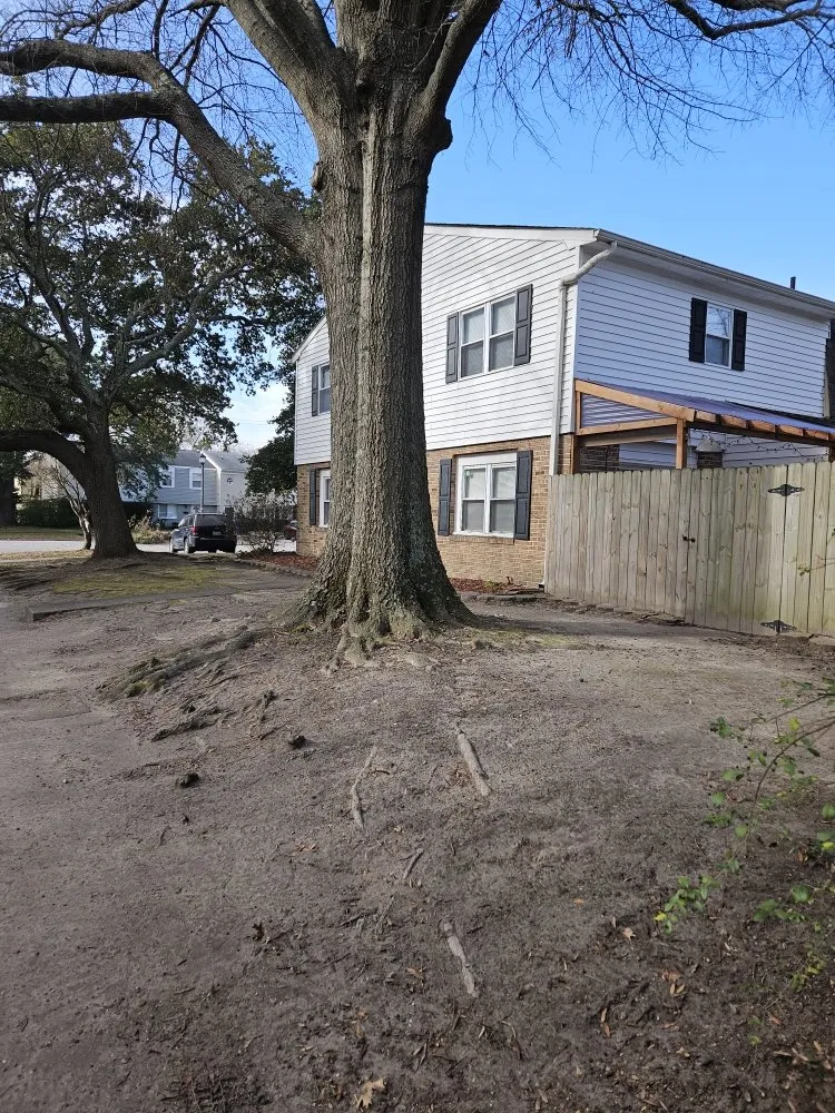 Custom yard cleanup service in Chesapeake, VA by All in Landscaping