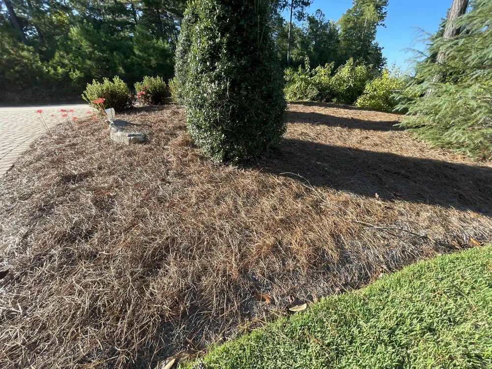 Expert landscape installation experts serving Seneca, SC - All In Lawn Legends Services
