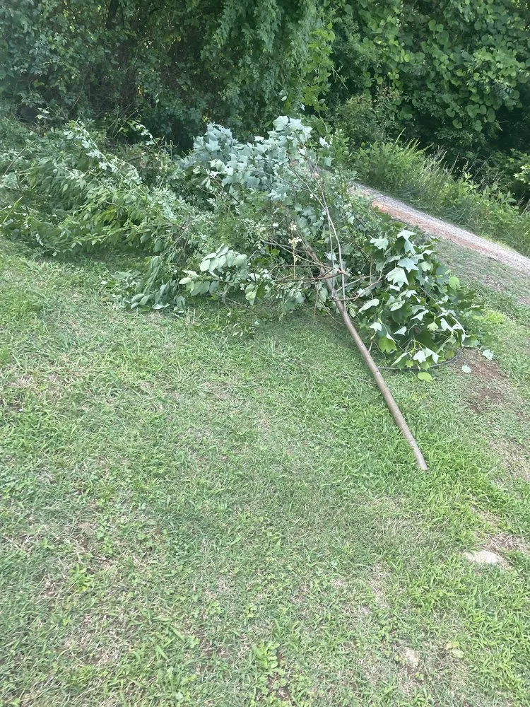 Professional lawn care service near you in Seneca, SC by All In Lawn Legends Services